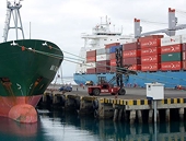 Argentina to appeal WTO ruling on import restrictions