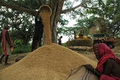 India dials WTO members for food security support