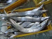 Viet Nam fish exports lead in Colombia