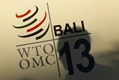 WTO cuts world trade growth forecasts for 2014 and 2015