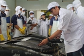 VN: Quality improvements could boost exports