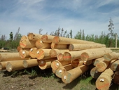 Lower tariffs for Canadian wood products exports to EU