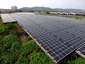 Neo Solar reports quarterly loss on US dumping probes