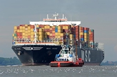 Vietnam, EU share experiences in trade protection