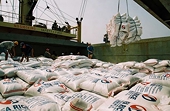 VN: Export firms need to be aware of trade laws