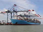 VN: Protecting rights during export, import entrustment