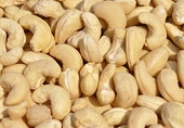 VN cashew exports approach new high
