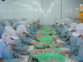Vietnam opposes US anti-dumping tariffs on tra fish