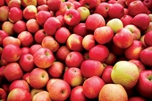 Mexico extends deadline in apple dumping inquiry