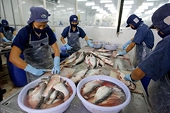 Anti-dumping protectionism: A double edged sword