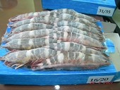 VN’s shrimp industry faces 9th anti-dumping review