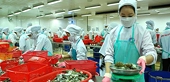 Anti-dumping tariffs on shrimp sent to US see huge reduction