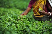 Bangladesh: Producers reluctant to seek trade remedies under WTO rules