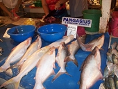 US imposes stricter regulations on catfish