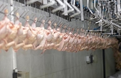 South Africa, U.S. chicken producers to meet over trade dispute