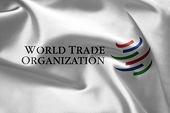 U.S. asks WTO for dispute settlement panel on a Chinese export program