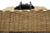 India's Import Framework Remains Complex