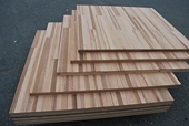India probes wood panel imports from Vietnam