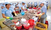 Recommendation No.10: The countervailing case against Vietnam plastic bags by the US. Reviews and Recommendations for Vietnamese