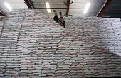 US demands Japanese assurance on tariff-free rice import quota