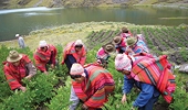 Peru loses WTO appeal over agricultural import levy