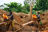 Uganda mines close as export ban hurts