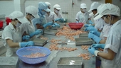 VN: Barriers hit exports to Japan