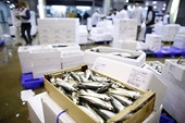 150729 EU Russia’s ban on Latvian, Estonian fish imports breaks WTO rules