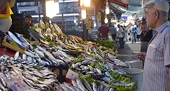 Turkish fishermen face antidumping case in EU call for gov't action