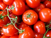 SPC wins Anti-Dumping Commission case against all cheap imported Italian tomatoes