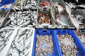 WTO panel to hear Japan-Korea import ban dispute