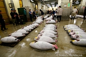 Japan to lift duties on all vegetables, most fishery products under TPP