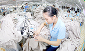 VN: Few firms use trade defense measures