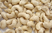 VN: Cashew exports to reach record high