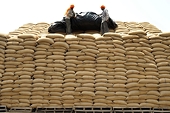 India To Insist For Safeguard Tool Against Import Surge At WTO
