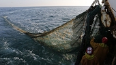 WTO statement in support of reducing fishing subsidies
