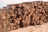 Origin of VN wood should be ensured for EU exports