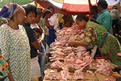 The WTO’s decision to end agricultural export subsidies is good news for farmers and consumers