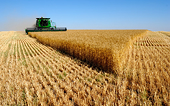 WTO Deal To End Agric Export Subsidies