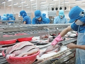 New rules for VN tra catfish imported to US
