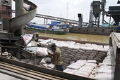 VN: Local cement firms face stiff competition