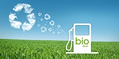 WTO rules for some Argentina claims in EU anti-dumping biodiesel duty row