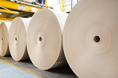 Ottawa seeks WTO ruling on U.S. duties on Canadian paper