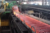 VN: Side effects of anti-dumping law on domestic steel market