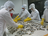 US import regulations reviewed