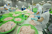 Anti-dumping duties on Vietnamese fish too high