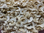 VN’s cashew industry booming