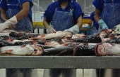 US Senate votes to end catfish inspection programme