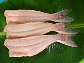 VIETNAM PANGASIUS SALES TO THE US TO RISE IN QII/2016