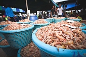 US will conduct antidumping reviews of five countries’ shrimp imports